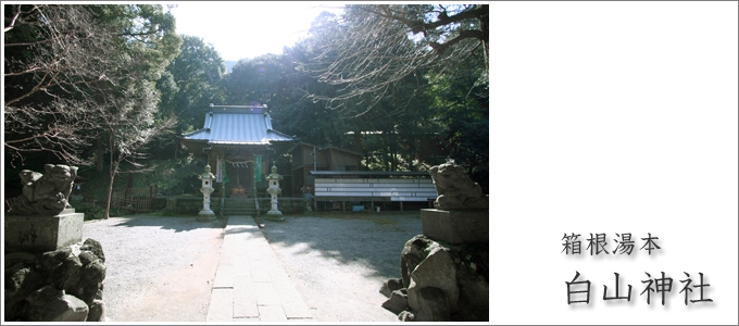 白山神社 ベビーカー トップ