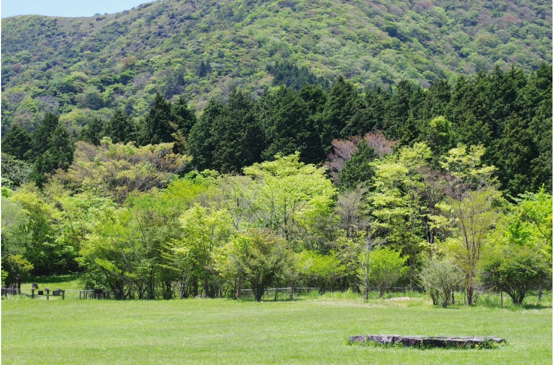 観光施設などの​目的地に近い