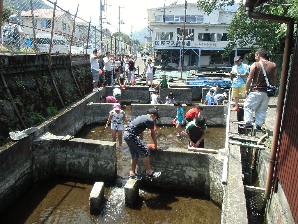 はこね宮城野国際ます釣場 箱根町観光協会公式サイト 温泉 旅館 ホテル 観光情報満載