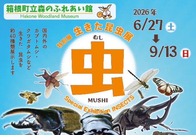 【森のふれあい館】生きた昆虫展