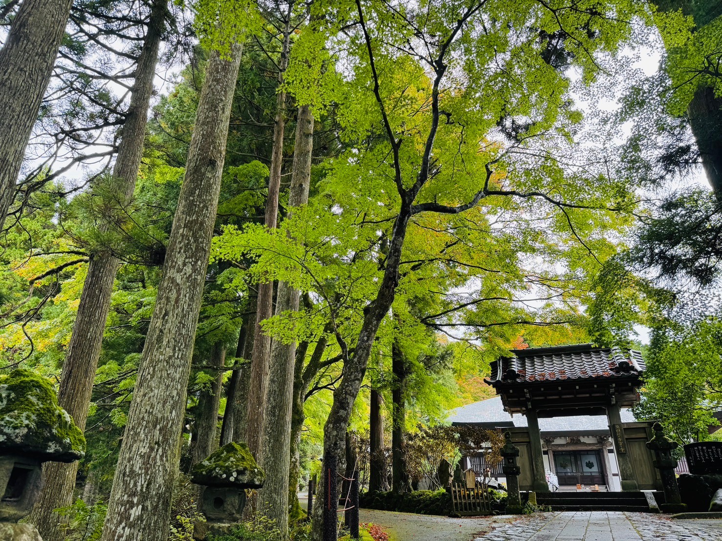 仙石原（長安寺）