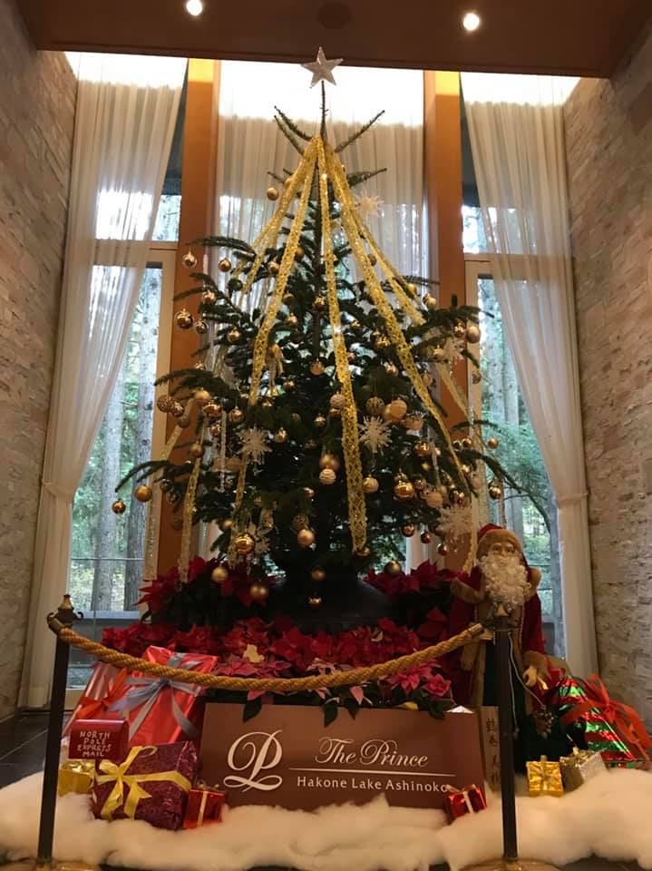 箱根には色々なクリスマスツリーが飾られています 箱根町観光協会公式サイト 温泉 旅館 ホテル 観光情報満載