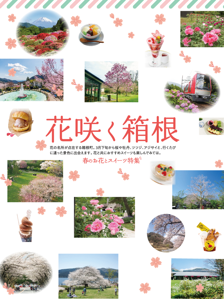 箱根町観光協会公式サイト 温泉 旅館 ホテル 観光情報満載