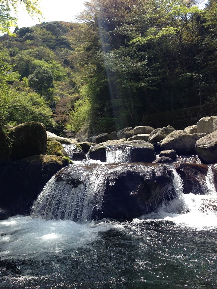 箱根は釣りも楽しめます 箱根町観光協会公式サイト 温泉 旅館 ホテル 観光情報満載