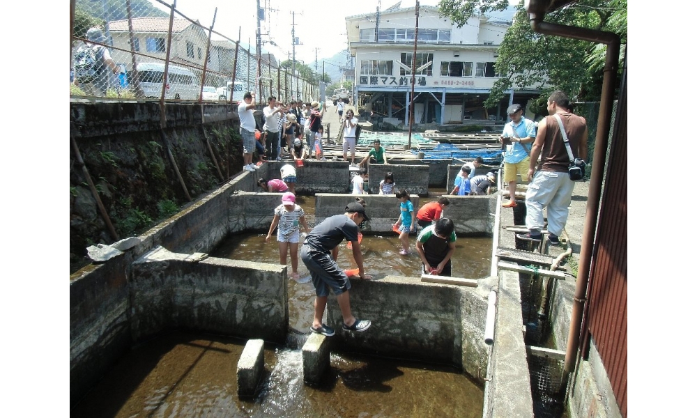 はこね宮城野国際ます釣場 箱根町観光協会公式サイト 温泉 旅館 ホテル 観光情報満載